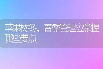 苹果树冬、春季管理应掌握哪些要点