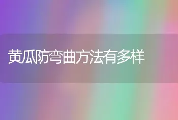 黄瓜防弯曲方法有多样