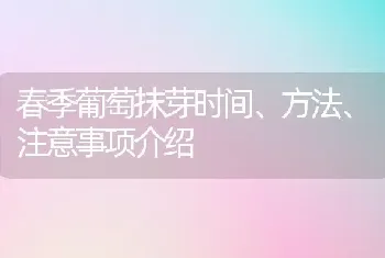 春季葡萄抹芽时间、方法、注意事项介绍