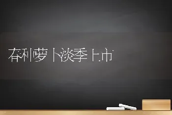 春种萝卜淡季上市