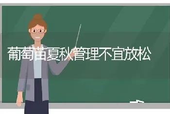 葡萄苗夏秋管理不宜放松