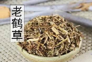 老鹤草与老鹳草的图片区别?