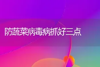 防蔬菜病毒病抓好三点