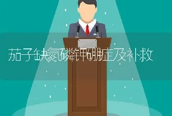 茄子缺氮磷钾硼症及补救