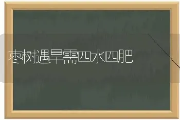 园林种植中有哪些相生或相克的植物