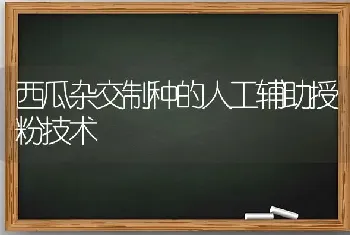 西瓜杂交制种的人工辅助授粉技术