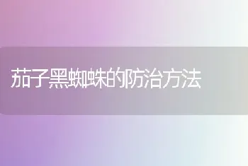 茄子黑蜘蛛的防治方法