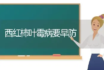 西红柿叶霉病要早防