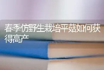 春季仿野生栽培平菇如何获得高产