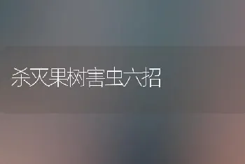 杀灭果树害虫六招