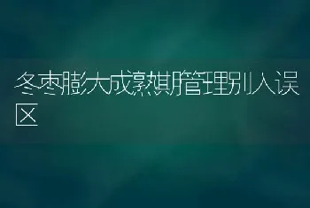 冬枣膨大成熟期管理别入误区