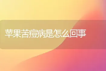 苹果苦痘病是怎么回事