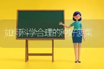 如何科学合理的种好菠菜