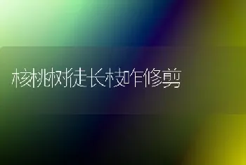 核桃树徒长枝咋修剪