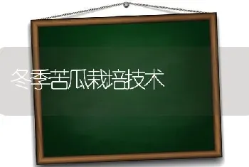 冬季苦瓜栽培技术