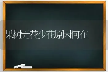 果树无花少花原因何在