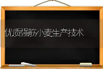 优质强筋小麦生产技术