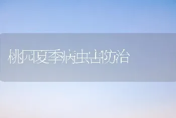 桃园夏季病虫害防治