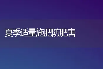 夏季适量施肥防肥害