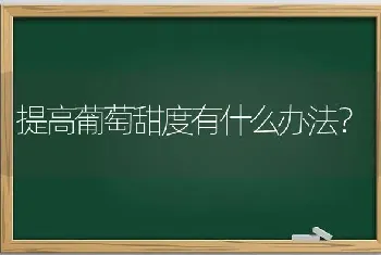 提高葡萄甜度有什么办法?