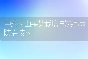 中药材山茱萸栽培与炭疽病防治技术