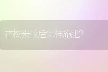 杏树采摘后怎样施肥?