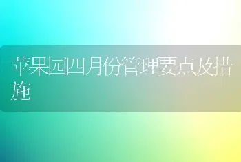 苹果园四月份管理要点及措施