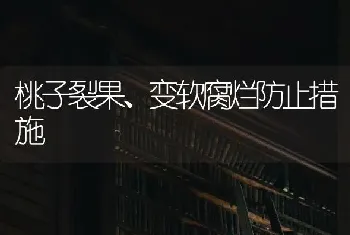 桃子裂果、变软腐烂防止措施