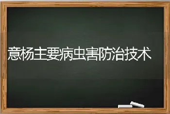 意杨主要病虫害防治技术