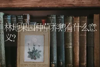 林地果园种草养鹅有什么意义?