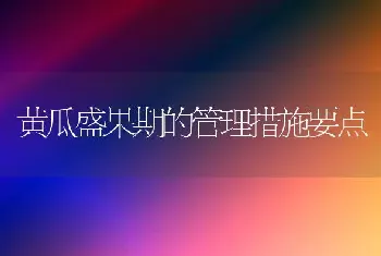 黄瓜盛果期的管理措施要点