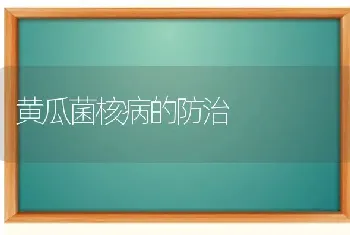 黄瓜菌核病的防治