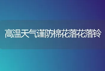 高温天气谨防棉花落花落铃