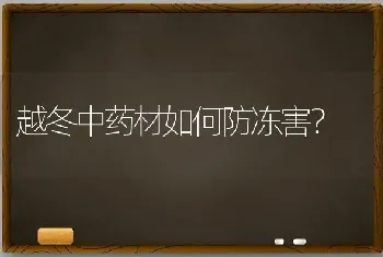 越冬中药材如何防冻害?