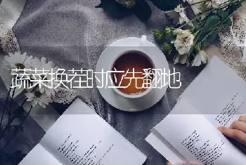 蔬菜换茬时应先翻地