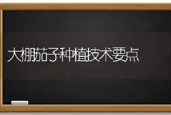 大棚茄子种植技术要点