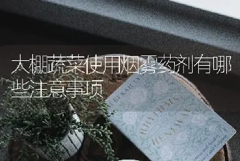 大棚蔬菜使用烟雾药剂有哪些注意事项