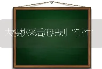 大樱桃采后施肥别“任性”