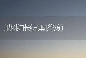 果树细长纺锤形修剪