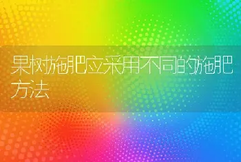 果树施肥应采用不同的施肥方法