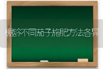 棚龄不同茄子施肥方法各异