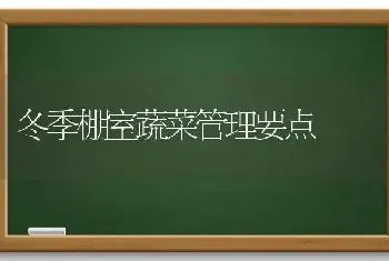 冬季棚室蔬菜管理要点