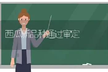 西瓜新品种通过审定