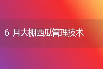 6月大棚西瓜管理技术