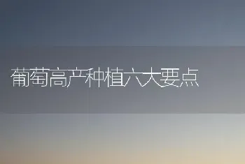 葡萄高产种植六大要点