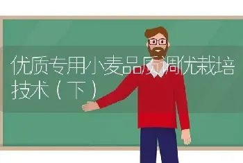 优质专用小麦品质调优栽培技术(下)