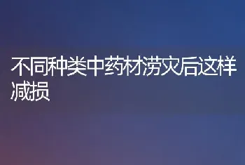 不同种类中药材涝灾后这样减损