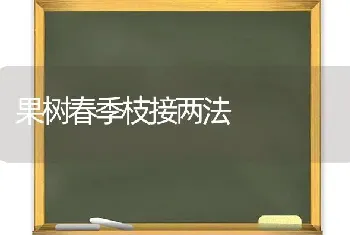 果树春季枝接两法