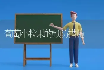 葡萄小粒果的预防措施