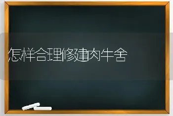 怎样合理修建肉牛舍